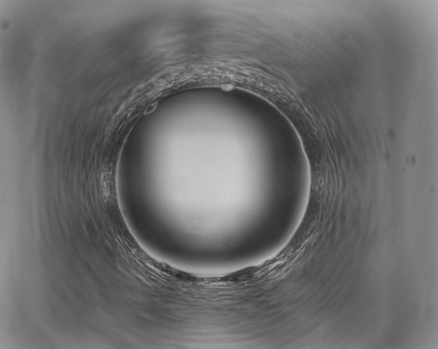 X0000062131490200512091136