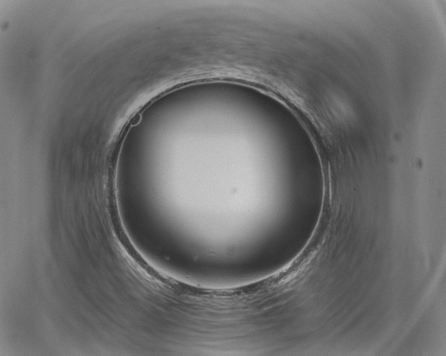 X0000062131500200512091136
