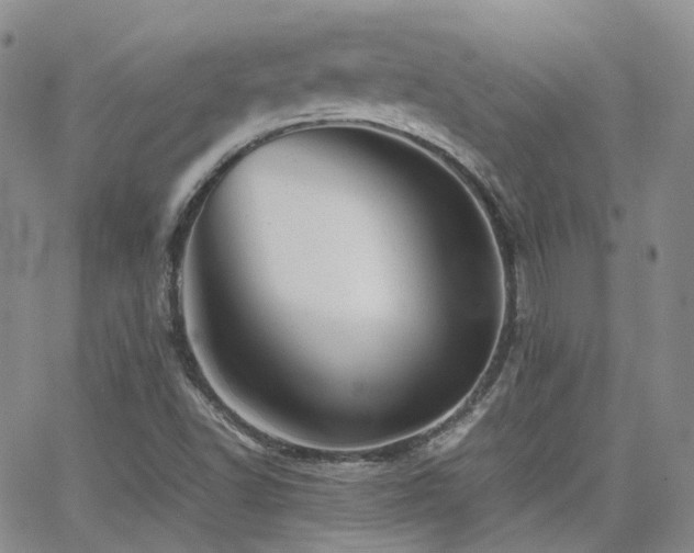 X0000062131502200512091136