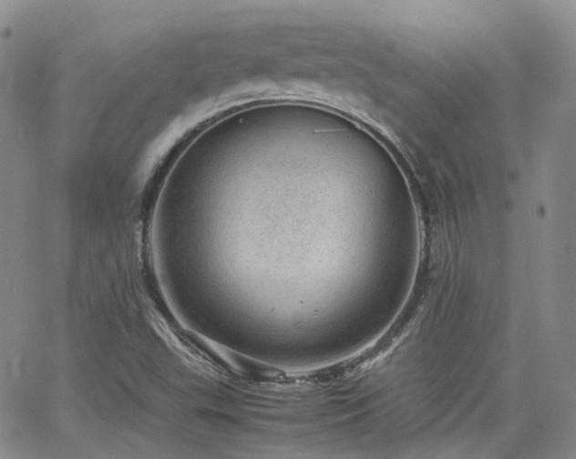 X0000062131503200512091136