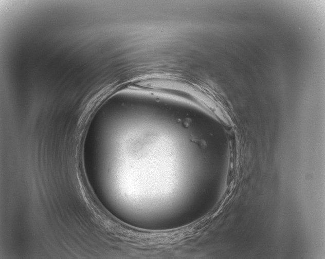 X0000062130001200512121227