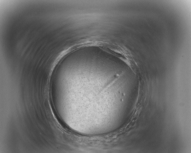 X0000062130003200512121227