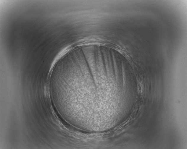 X0000062130004200512121227