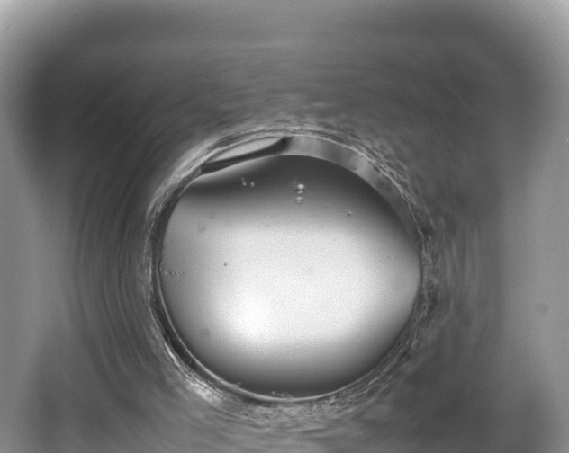 X0000062130005200512121227