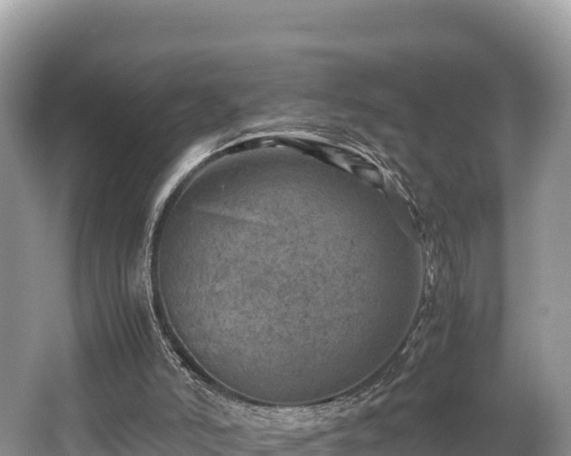 X0000062130006200512121227