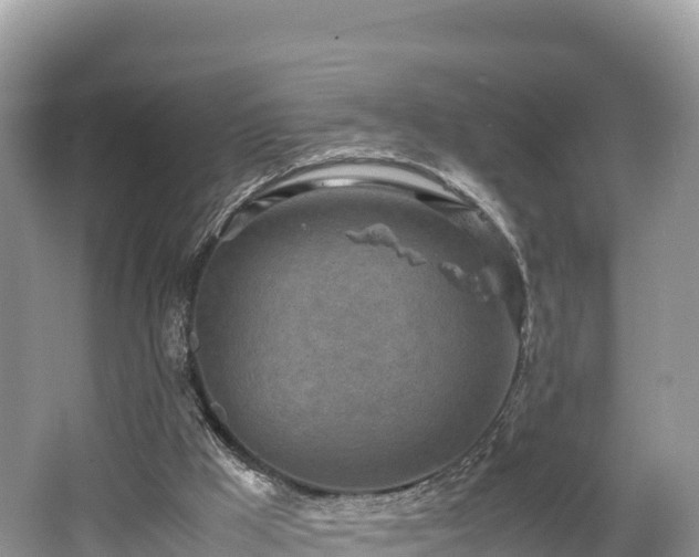 X0000062130009200512121227