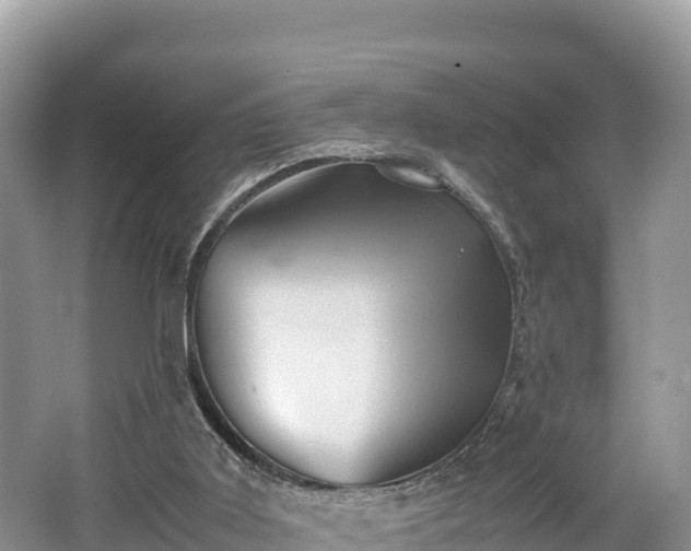 X0000062130011200512121227