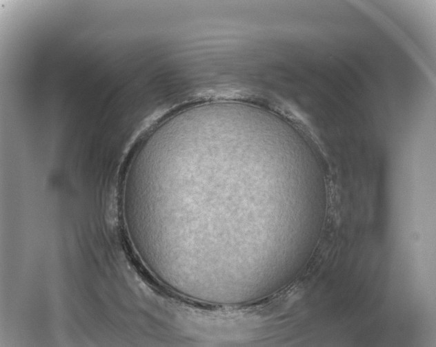 X0000062130012200512121227