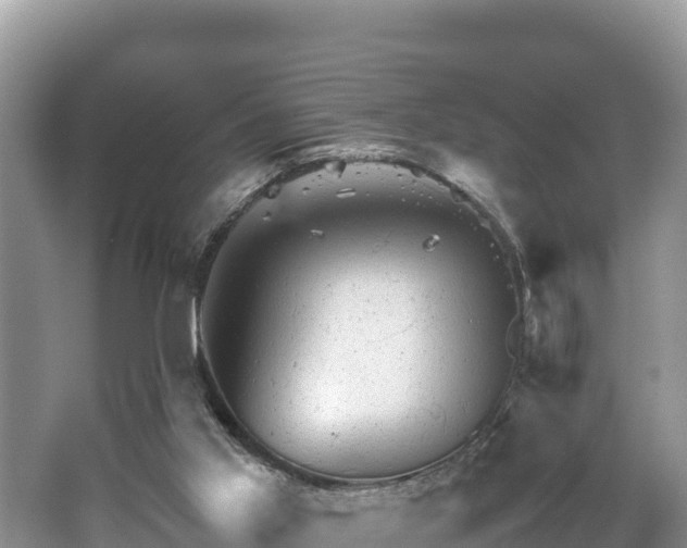 X0000062130013200512121227