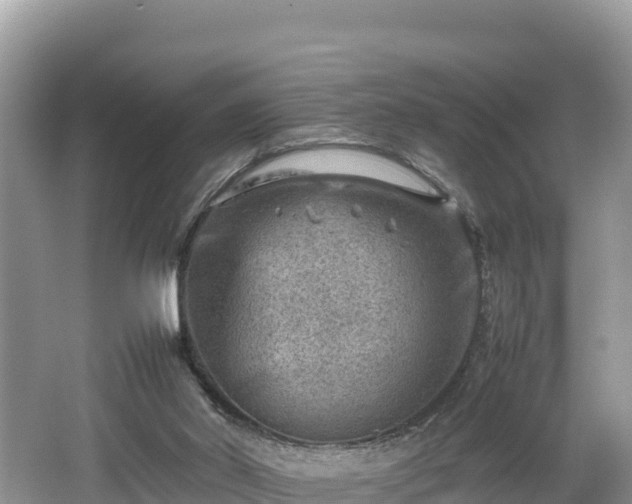 X0000062130014200512121227