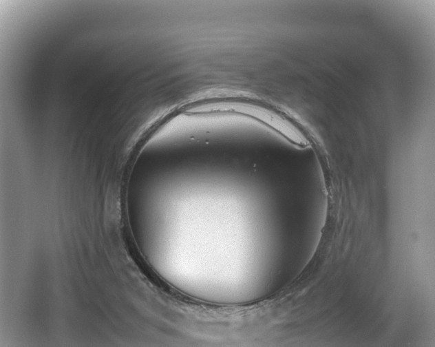 X0000062130015200512121227