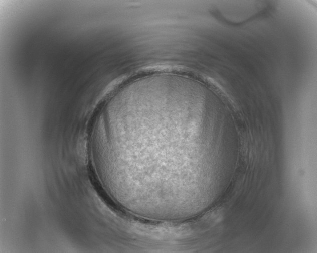 X0000062130016200512121227