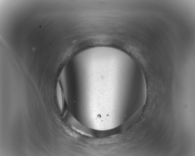 X0000062130017200512121227