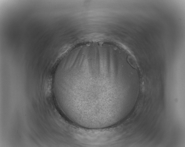 X0000062130018200512121227