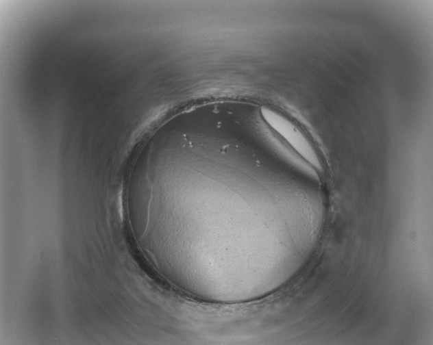 X0000062130019200512121227