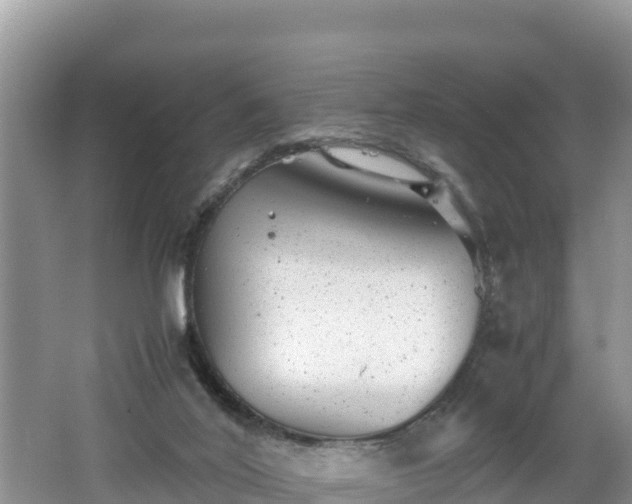 X0000062130020200512121227