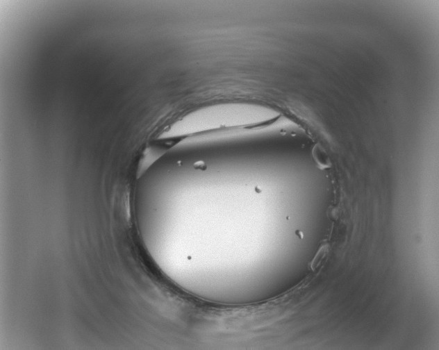 X0000062130021200512121227