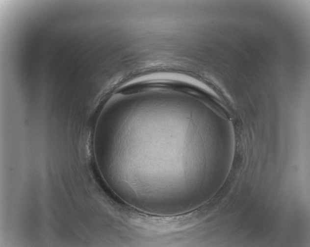 X0000062130023200512121227