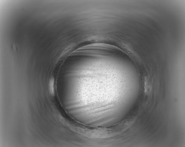 X0000062130024200512121227