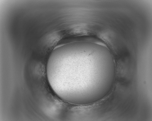 X0000062130025200512121227