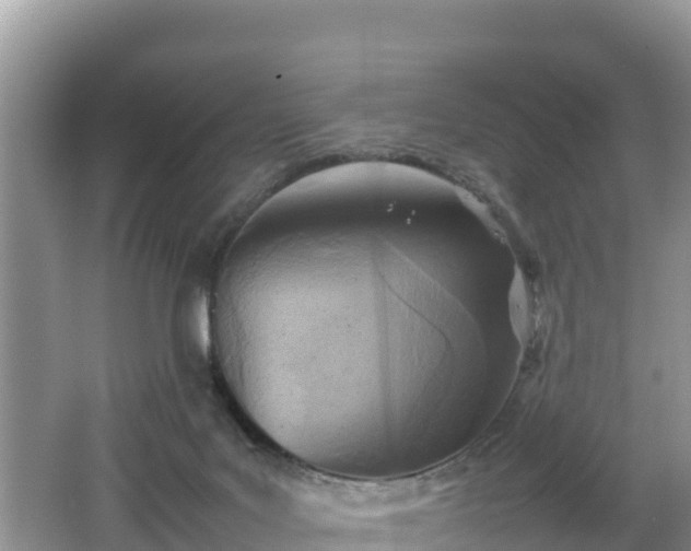 X0000062130027200512121227