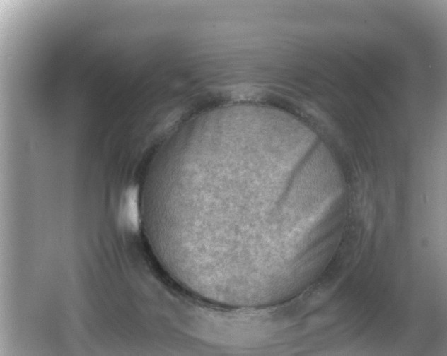 X0000062130028200512121227