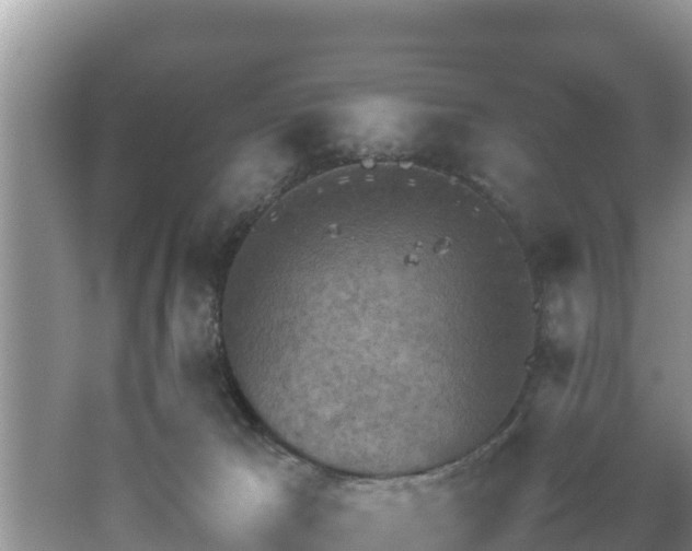 X0000062130029200512121227