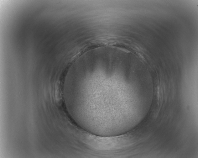 X0000062130030200512121227