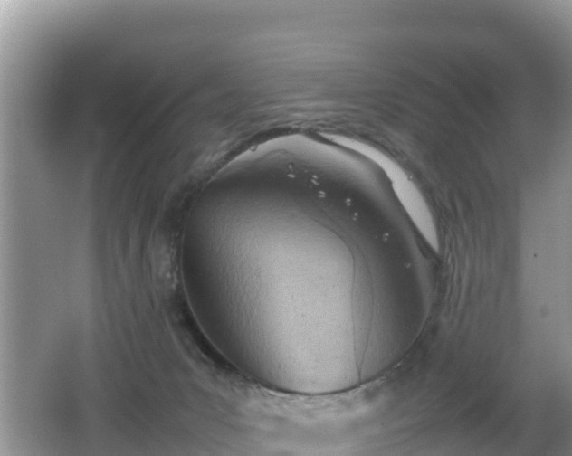 X0000062130031200512121227