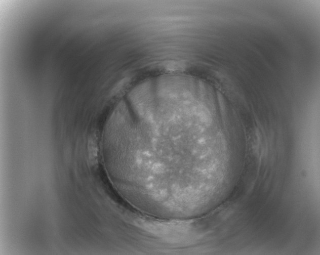 X0000062130032200512121227