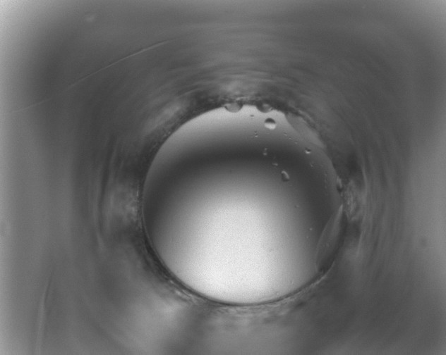 X0000062130033200512121227