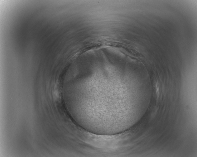 X0000062130034200512121227