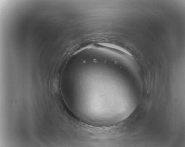 X0000062130035200512121227