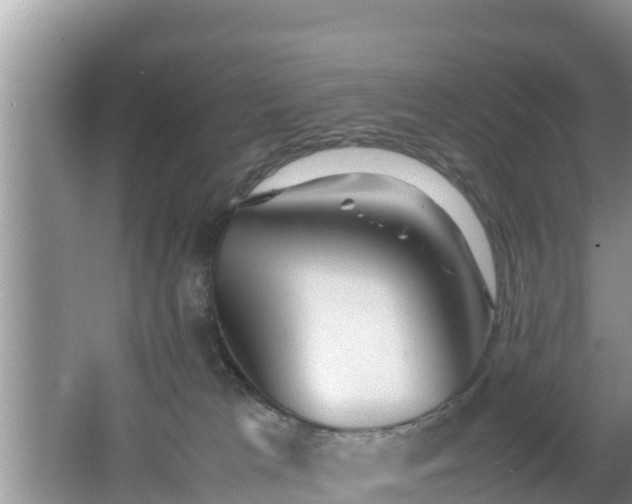 X0000062130037200512121227