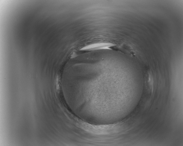 X0000062130038200512121227