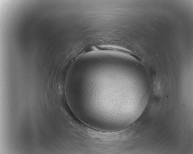 X0000062130039200512121227