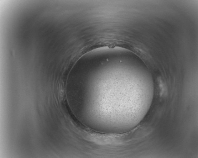 X0000062130040200512121227