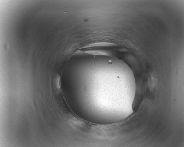 X0000062130041200512121227