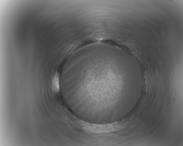 X0000062130042200512121227