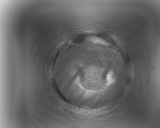 X0000062130043200512121227