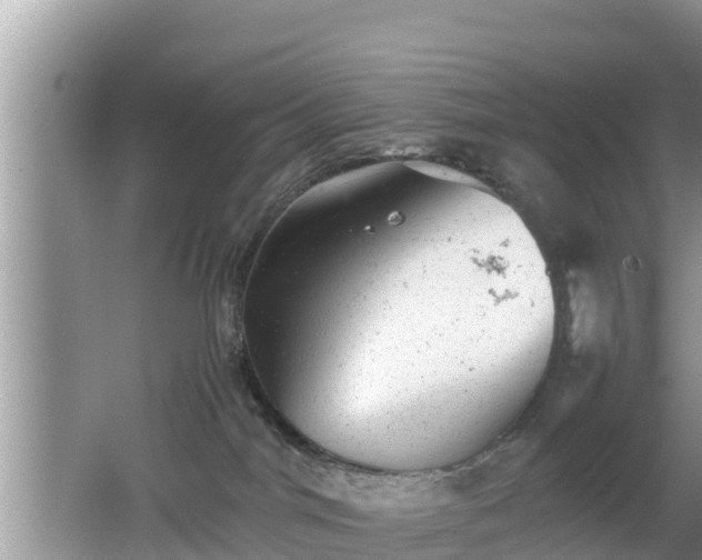 X0000062130044200512121227