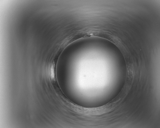 X0000062130046200512121227