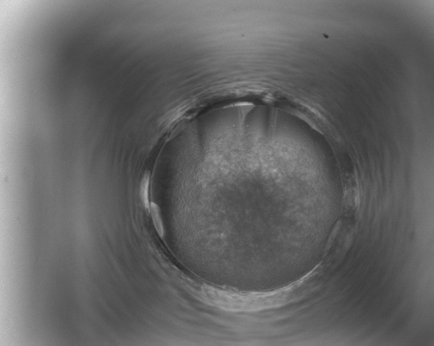 X0000062130047200512121227