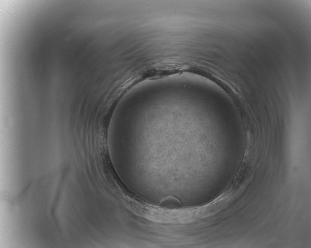 X0000062130048200512121227