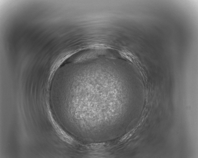 X0000062130049200512121226