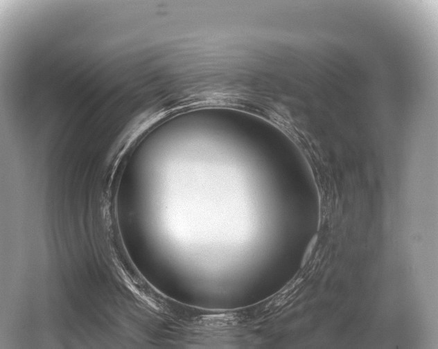 X0000062130050200512121226