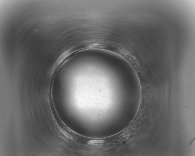 X0000062130051200512121226