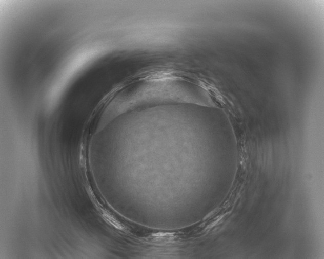 X0000062130052200512121226