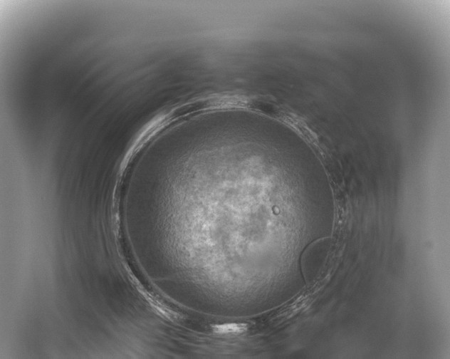 X0000062130053200512121226