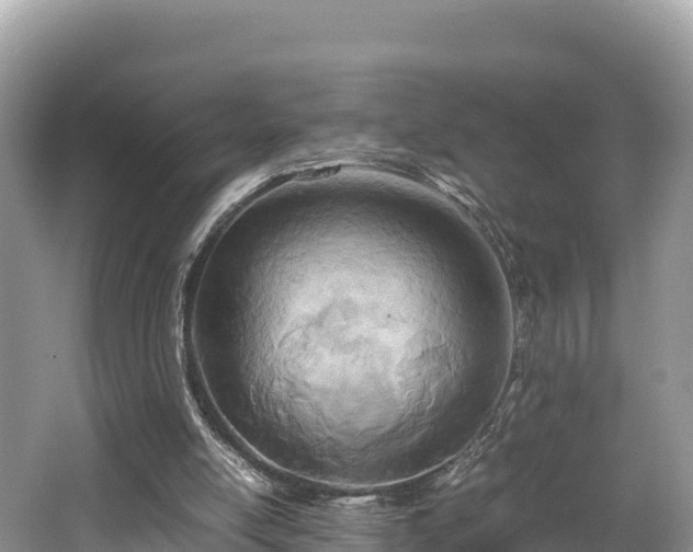 X0000062130054200512121226